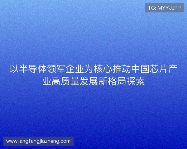 以半导体领军企业为核心推动中国芯片产业高质量发展新格局探索